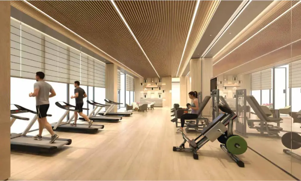 Gymnasium